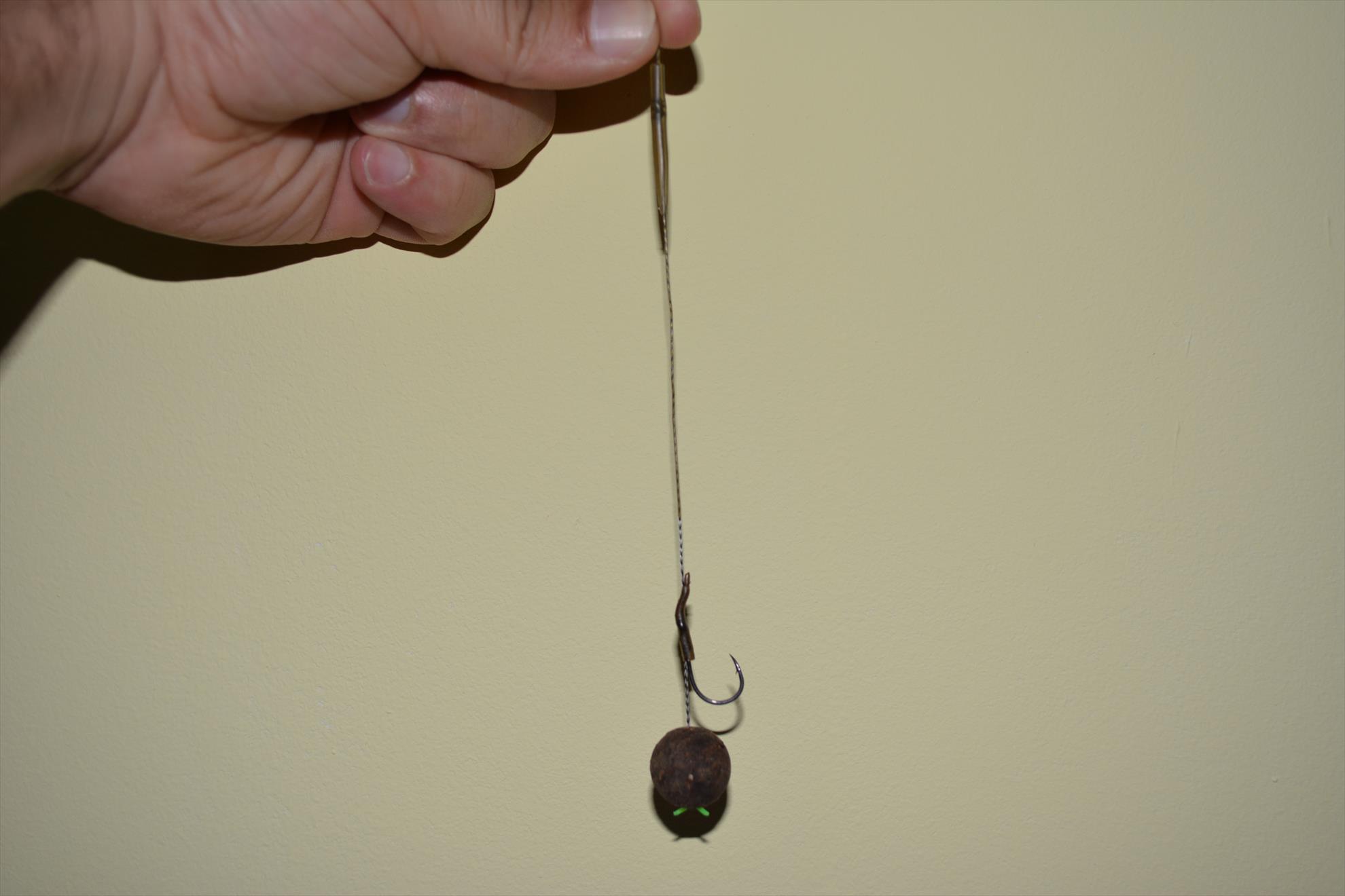 Pregatiri pentru concurs - dsc0056.JPG